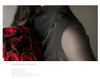 Spring Autumn OL Loose Stand Collar Chiffon Transparent Long Sleeve Simple Womens Blouses Tops Shirt Black S/M/L/XL/XXL