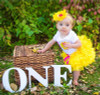 Aini Babe 6-24M Newborn Infant Baby Girls Clothes Dress Toddler Girl 1 Year First Birthday Outfits Yellow Tutu Kid Party Dresses Aini Babe 6-24M Newborn Infant Baby Girls Clothes Dress Toddler Girl 1 Year First Birthday Outfits Yellow Tutu Kid Party Dresses