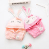 Bibihou Baby Girls Jacket Clothes 2017 Spring Cotton Sweet Newborn Bow Cartoon Rabbit Hooded Windbreaker For Jackets &amp; Coats