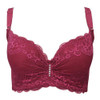 BH Sexy Push Up Bra Women Lace Bras for Women Embroidery Perspective Underwear Women Brassiere Lingerie Sujetador Intimates