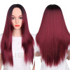 AISI HAIR Blonde Ombre Wig Long Straight Hair Synthetic for Women Free Shipping