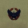 Air Force Commander's Insignia Embroidered ABU Badge