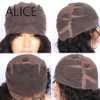 ALICE Pre Plucked Full Lace Human Hair Wigs For Black Women 10-24'' Remy Hair Glueless Brazilian Ombre Lace Wig Bleached Knots