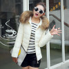 New 2016 Winter Fur Collar Cotton Coat Women Short Slim Cotton Padded Jacket Hooded Casual Women Jackets and Coats PW0663