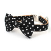 Polka Dot Bowtie Collar and Leash Set