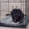 Self Warming Pet Pad - K&H Pet Products