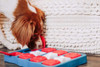 Nina Ottosson Dog Brick Puzzle Game (Level 2 - Intermediate)