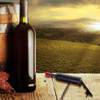 Happy Sale 1pc Beer and Wine Opener Cooking Tool Beer Can Bottle Opener Creative Gift