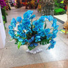 Phalaenopsis Room Interior Decoration Flowers Potted 100 Seeds