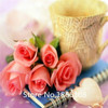 home &amp; garden 1 Professional Pack, 100 seeds / pack, Red Black Rare Rose Plant Seedling Garden Seed