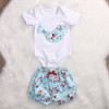 2017 Newborn Baby Boy Girl Clothes Floral Infant Bebes Romper Bodysuit and Bloomers Bottom 2pcs Outfit Bebek Giyim Clothing 2017 Newborn Baby Boy Girl Clothes Floral Infant Bebes Romper Bodysuit and Bloomers Bottom 2pcs Outfit Bebek Giyim Clothing