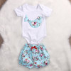 2017 Newborn Baby Boy Girl Clothes Floral Infant Bebes Romper Bodysuit and Bloomers Bottom 2pcs Outfit Bebek Giyim Clothing 2017 Newborn Baby Boy Girl Clothes Floral Infant Bebes Romper Bodysuit and Bloomers Bottom 2pcs Outfit Bebek Giyim Clothing