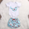 2017 Newborn Baby Boy Girl Clothes Floral Infant Bebes Romper Bodysuit and Bloomers Bottom 2pcs Outfit Bebek Giyim Clothing 2017 Newborn Baby Boy Girl Clothes Floral Infant Bebes Romper Bodysuit and Bloomers Bottom 2pcs Outfit Bebek Giyim Clothing