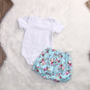 2017 Newborn Baby Boy Girl Clothes Floral Infant Bebes Romper Bodysuit and Bloomers Bottom 2pcs Outfit Bebek Giyim Clothing 2017 Newborn Baby Boy Girl Clothes Floral Infant Bebes Romper Bodysuit and Bloomers Bottom 2pcs Outfit Bebek Giyim Clothing