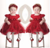 Baby Toddler Girl Dress Flower Princess Wedding Party Pageant Tulle TUTU Dresses Infant Kids Children Girls Clothing