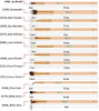 BEILI 12pcs Rose Golden 100% Natural Goat Pony Synthetic Hair Eye shadow Eyeliner Concealer Makeup Brush Set
