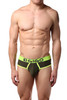 Gigo Green Zoom Brief