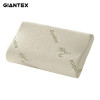 GIANTEX High Quality Bamboo Fiber Pillow Slow Rebound Memory Foam Pillow Health Care Pillow Massager Travesseiro Almohada U0301
