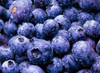 GGG 200 pcs Blueberry seed Fruit seeds Potted blueberry seeds Free shipping