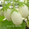 GGG 100pcs Purple Eggplant Seeds vegetable seeds free Shipping