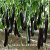 GGG 100pcs Purple Eggplant Seeds vegetable seeds free Shipping