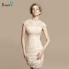 Dressv beige mini/above knee short lace cocktail dress jewel neck sheath&column sleevless cocktail dress lace formal party dress