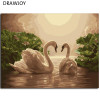 DRAWJOY Framed Digital Oil Painting By Numbers Swan Picture Painting On Canvas DIY Home Decoration Wall Decor Home Decor G275