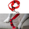 Adjustable Pet Cat Dog Car Safety Seat Belt Harness Vehicle Seatbelt Lead Leash for Dogs 8 Colours Free Shipping DROP SHIP
