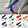 Adjustable Pet Cat Dog Car Safety Seat Belt Harness Vehicle Seatbelt Lead Leash for Dogs 8 Colours Free Shipping DROP SHIP