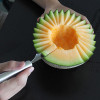 LINSBAYWU 1 pc Double-End Multi Function Fruit Carving Knife Stainless Steel Ice Cream Scoop Spoon Melon Baller home garden