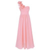 Girls Floral Ball Gown Dress - Elegant Chiffon Maxi Dress for Kids 4-14Y | Perfect for Weddings, Parties, and Bridesmaid Events