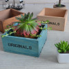 Staygold Zakka Cosmetics Jewelry Box Succulents Pots Grocery Solid Wood Storage Box Box Wood Craft Home Decoration