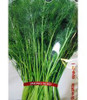 Cutter anise seed selling organic vegetable 100seed