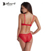 Annajolly Top Bra Sets Women Sexy Bras And Panties Push Up Brassiere Panties Briefs Red Blue Underwear Lingerie Brand New 8889
