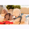 prativerdi New Small Dog Pet Puppy Cat Adjustable Nylon Harness with Lead leash 5 Colors to Choose