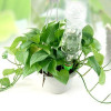 Practical 12Pcs/lot Garden Cone Watering Spike Plant Flower Waterers Bottle Irrigation System