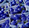 Potted Plants Delicious Multi-color Strawberry seeds 400PCS Black Blue White Strawberries Fruit Seeds Home &amp; Garden True Variety