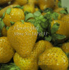 Potted Plants Delicious Multi-color Strawberry seeds 400PCS Black Blue White Strawberries Fruit Seeds Home &amp; Garden True Variety