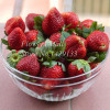 Potted Plants Delicious Multi-color Strawberry seeds 400PCS Black Blue White Strawberries Fruit Seeds Home &amp; Garden True Variety