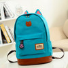 2017 New Korean Women Backpacks Canvas School Backpacks for Teenage Girls Stylish Schoolbag Satchel Bolsas Mochilas Femininas
