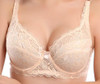 2017 New Hot Bra 32 34 36 38 40 B C Cup Brand Bra Sexy Womenlace Intimates Push Up Bra Ladies Lingerie Transparent Big Size Bra