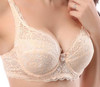 2017 New Hot Bra 32 34 36 38 40 B C Cup Brand Bra Sexy Womenlace Intimates Push Up Bra Ladies Lingerie Transparent Big Size Bra
