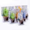 New Design Automatic Bird Shape Water Dropper Automatic Watering Flowers Watering Plant Drip Irrigation Color Randomly