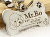 Free engraved write name phone number pet dog cat ID tag collar pet tag dog pet name pendent neckalce tag engraved military tag