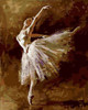 Frameless pictures painting by numbers hand painted canvas drawing diy oil painting by numbers 40*50cm ballet queen