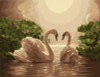 Frameless picture on wall acrylic painting by numbers abstract drawing by numbers unique gift coloring by numbers swan lovers