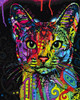 Frameless diy oil painting by number paint by number for home decor canvas painting 4050 Graffiti Kitty