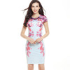 2017 Fashion Summer Women Dress Party Brand Formal Female Clothes Work Office Ropa Vestidos de Festa Vintage Pencil Dress Print