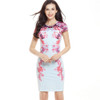 2017 Fashion Summer Women Dress Party Brand Formal Female Clothes Work Office Ropa Vestidos de Festa Vintage Pencil Dress Print