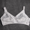 Comfort Lace Bra Intimates Embroider Lingerie see-through Plus size bralette Big Size Sexy Bras 36 38 40 42 44 B C D DD Cup